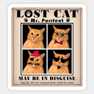 LOST CAT: Missing Mr. PURRfect Sticker